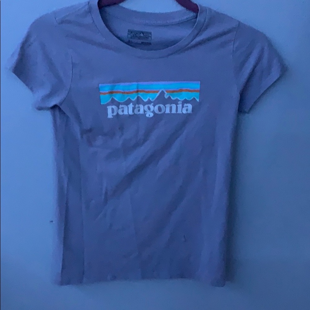 Patagonia tee